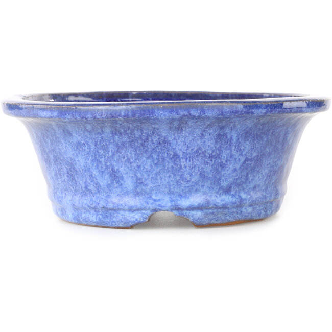 Maceta ovalada azul para bonsái de Shuhou - 253 x 208 x 75 mm