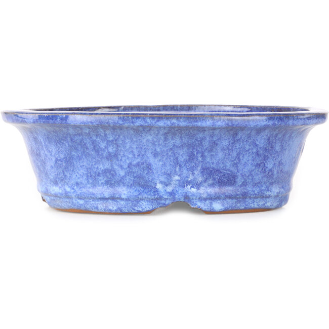 Vaso bonsai ovale blu di Shuhou - 253 x 208 x 75 mm
