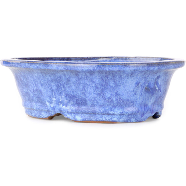 Pot ovale bleu pour bonsaï de Shuhou - 253 x 208 x 75 mm