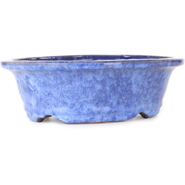 Ovaler blauer Bonsai-Topf von Shuhou – 253 x 208 x 75 mm