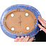 Pot ovale bleu pour bonsaï de Shuhou - 253 x 208 x 75 mm