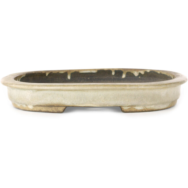 Oval off-white bonsai pot by Koyou - 297 x 242 x 33 mm