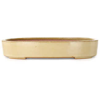 Seizan (Reihou, Kataoka Katsushi, master Seizan kiln) Maceta para bonsái ovalada de color blanquecino de 285 mm de Seizan (Reihou, Kataoka Katsushi, maestro horno Seizan), Tokoname, Japón