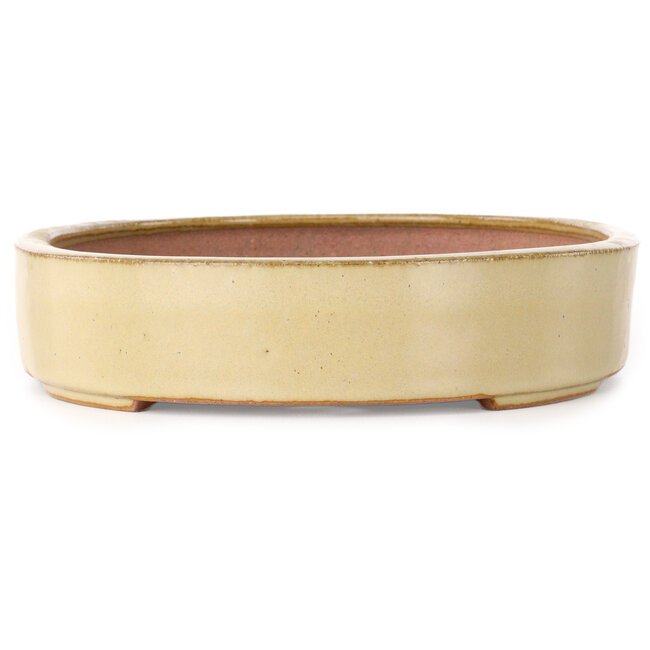 Oval off-white bonsai pot by Seizan (Reihou, Kataoka Katsushi, master Seizan kiln) - 285 x 217 x 50 mm