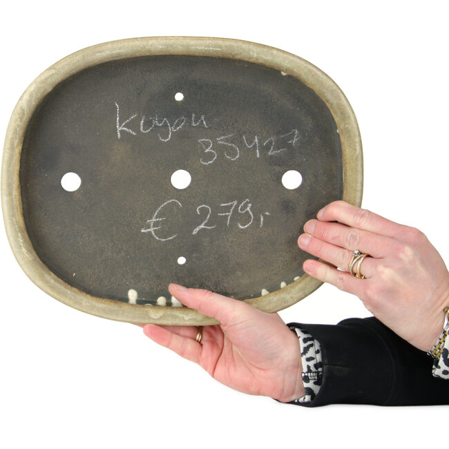 Pot à bonsaï ovale blanc cassé de Koyou - 297 x 242 x 33 mm