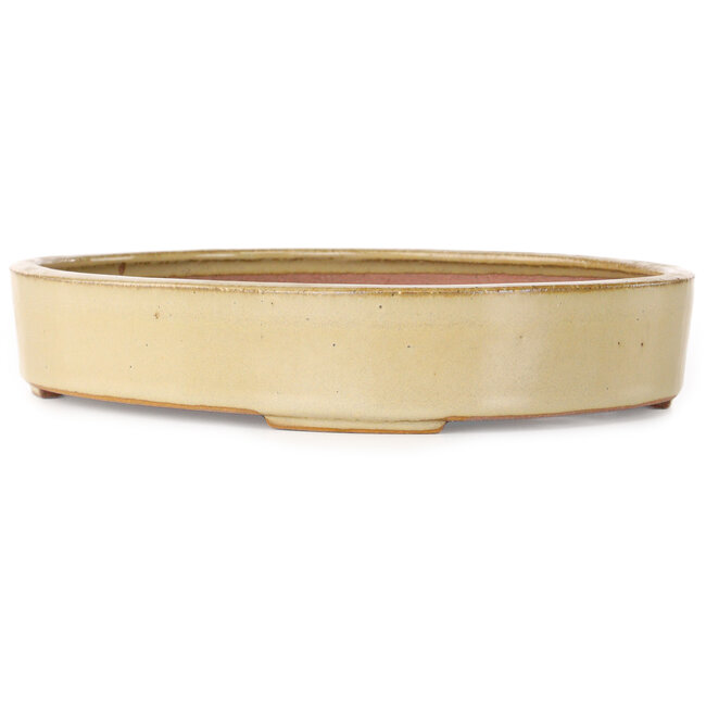 Oval off-white bonsai pot by Seizan (Reihou, Kataoka Katsushi, master Seizan kiln) - 285 x 217 x 50 mm