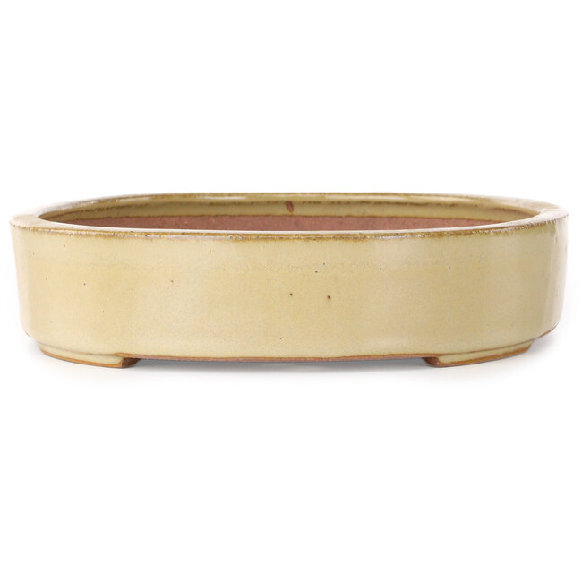 Oval off-white bonsai pot by Seizan (Reihou, Kataoka Katsushi, master Seizan kiln) - 285 x 217 x 50 mm