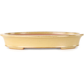 Seizan (Reihou, Kataoka Katsushi, master Seizan kiln) Maceta para bonsái ovalada de color blanquecino de 320 mm de Seizan (Reihou, Kataoka Katsushi, maestro horno Seizan), Tokoname, Japón