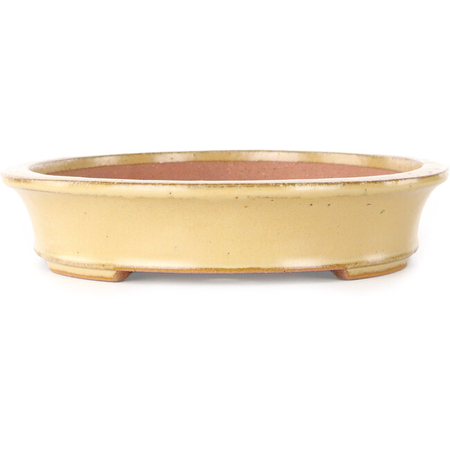 Vaso bonsai ovale bianco sporco di Seizan (Reihou, Kataoka Katsushi, forno del maestro Seizan) - 320 x 250 x 52 mm