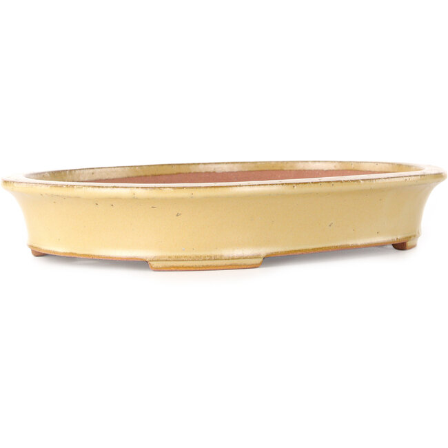 Vaso bonsai ovale bianco sporco di Seizan (Reihou, Kataoka Katsushi, forno del maestro Seizan) - 320 x 250 x 52 mm