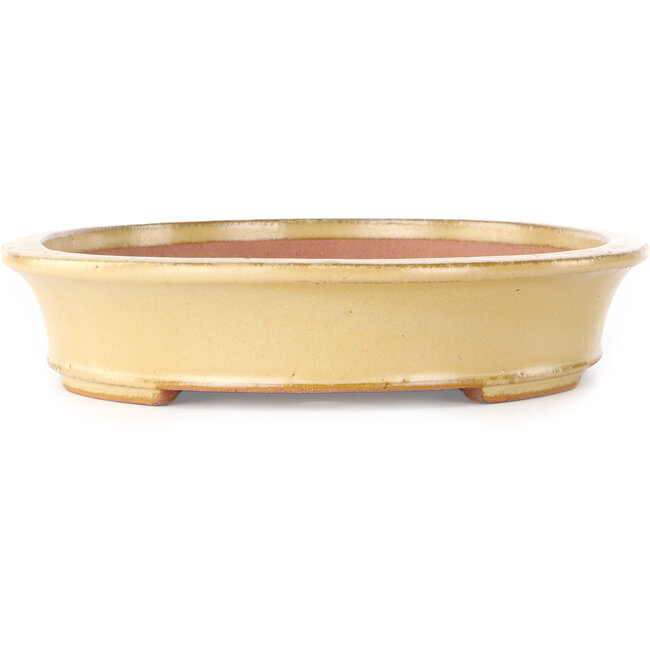 Ovaler, cremefarbener Bonsaitopf von Seizan (Reihou, Kataoka Katsushi, Meister Seizan-Ofen) – 320 x 250 x 52 mm