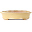 Ovaler, cremefarbener Bonsaitopf von Seizan (Reihou, Kataoka Katsushi, Meister Seizan-Ofen) – 320 x 250 x 52 mm
