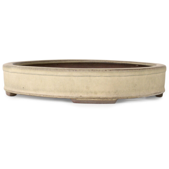 Maceta ovalada para bonsái en color blanco roto de Yamaaki - 265 x 205 x 43 mm