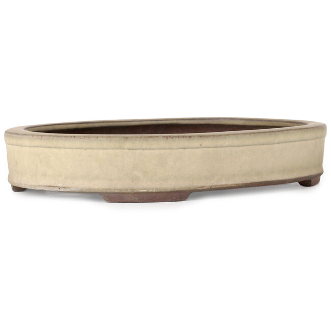 Ovaler, cremefarbener Bonsai-Topf von Yamaaki – 265 x 205 x 43 mm
