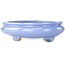 Pot ovale bleu pour bonsaï, par Itouen - 285 x 215 x 72 mm