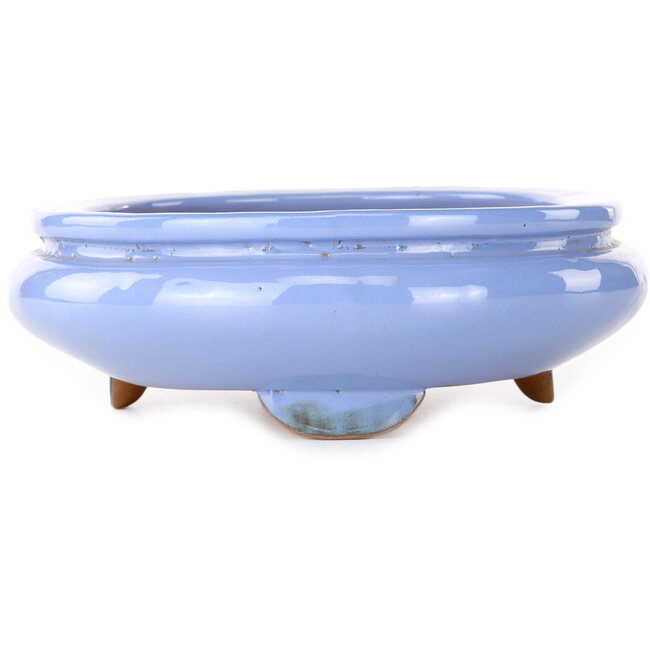 Maceta ovalada azul para bonsái de Itouen - 285 x 215 x 72 mm