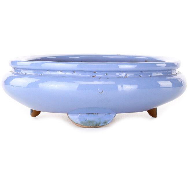 Ovaler blauer Bonsai-Topf von Itouen – 285 x 215 x 72 mm