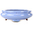 Ovale blauwe bonsaipot van Itouen - 285 x 215 x 72 mm