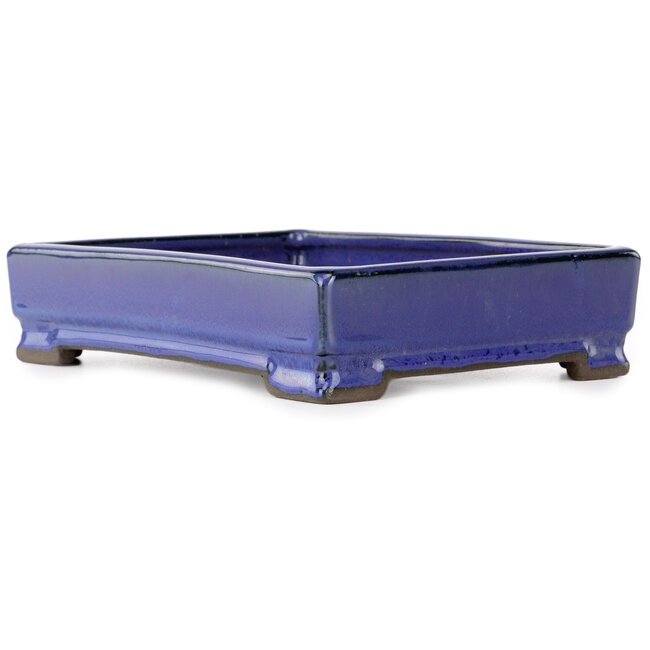 Pot à bonsaï rectangulaire bleu de Tosui - 203 x 150 x 47 mm