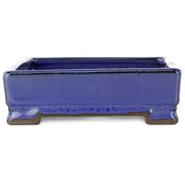 Maceta rectangular azul para bonsái de Tosui - 203 x 150 x 47 mm