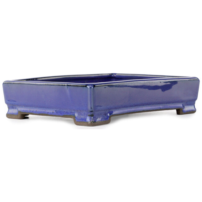 Rectangular blue bonsai pot by Tosui - 203 x 150 x 47 mm