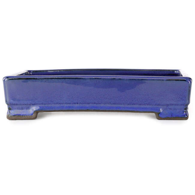 Rechteckiger blauer Bonsai-Topf von Tosui – 203 x 150 x 47 mm