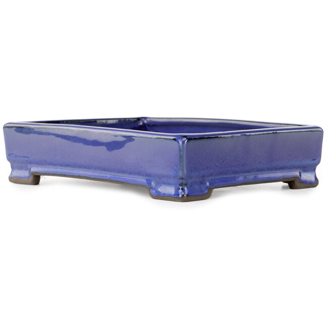 Rectangular blue bonsai pot by Tosui - 203 x 150 x 47 mm