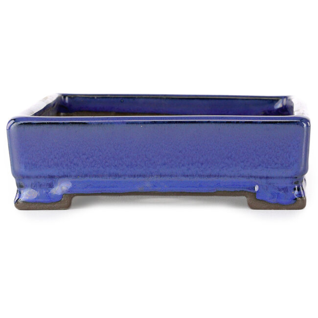 Rechteckiger blauer Bonsai-Topf von Tosui – 203 x 150 x 47 mm