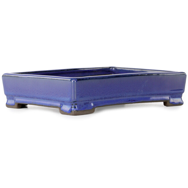 Vaso bonsai rettangolare blu di Tosui - 203 x 150 x 47 mm