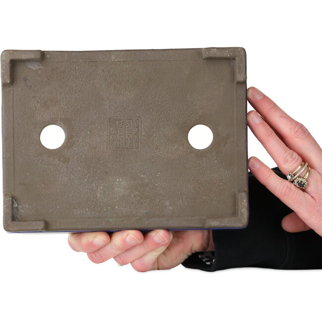 Maceta rectangular azul para bonsái de Tosui - 203 x 150 x 47 mm