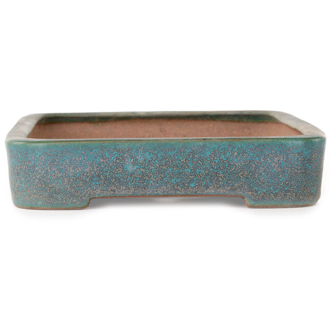 Maceta rectangular para bonsái verde azulado de Seizan (Reihou, Kataoka Katsushi, maestro del horno Seizan) - 253 x 177 x 38 mm