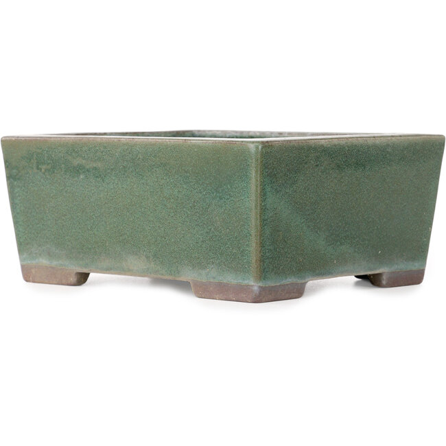 Pot à bonsaï rectangulaire vert de Yamaaki - 193 x 155 x 82 mm