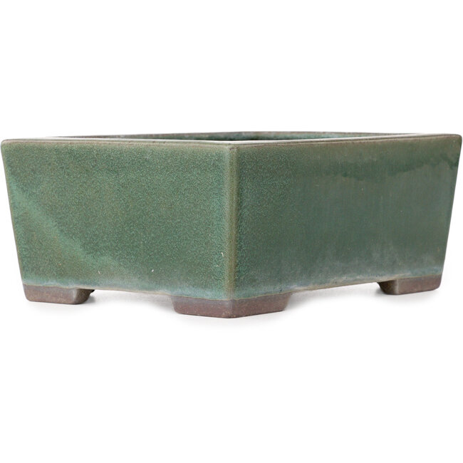Vaso bonsai rettangolare verde di Yamaaki - 193 x 155 x 82 mm