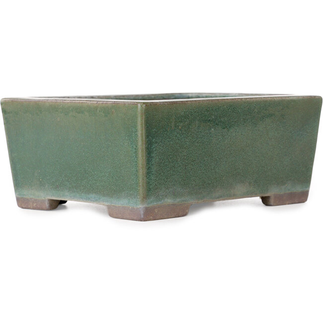 Vaso bonsai rettangolare verde di Yamaaki - 193 x 155 x 82 mm