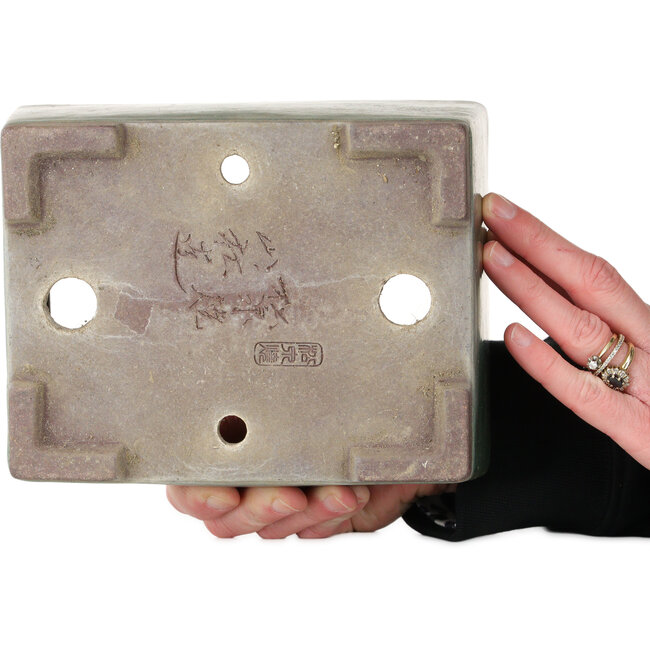 Maceta rectangular verde para bonsái de Yamaaki - 193 x 155 x 82 mm