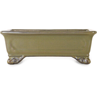  Tosui Pot à bonsaï rectangulaire jaune ocre de 227 mm, de la marque Tosui, Japon