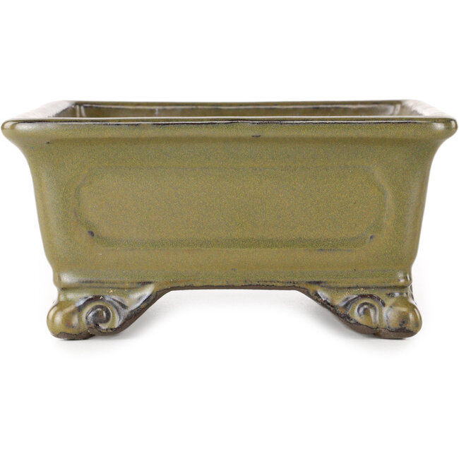 Vaso bonsai rettangolare giallo ocra di Tosui - 227 x 165 x 77 mm