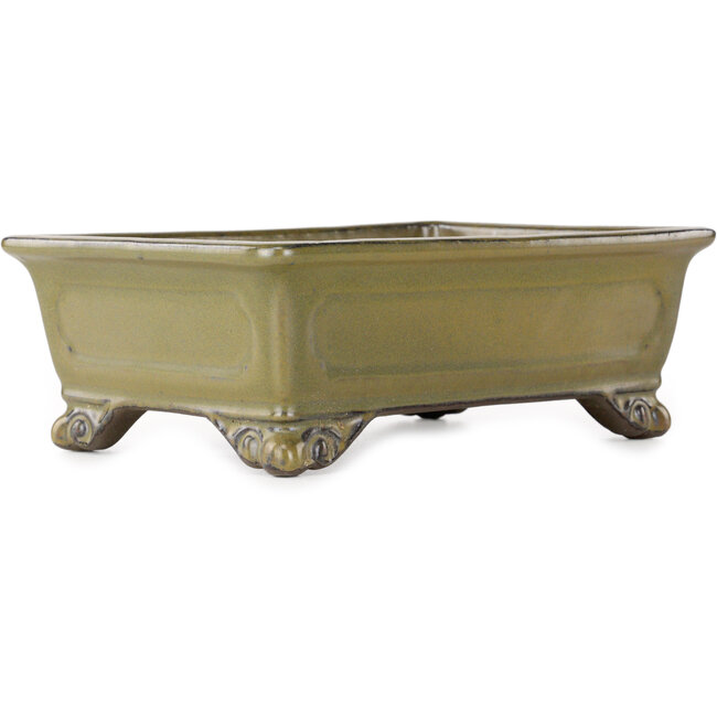 Vaso bonsai rettangolare giallo ocra di Tosui - 227 x 165 x 77 mm