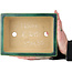 Rechthoekige groene bonsaipot van Ikkou - 235 x 177 x 77 mm