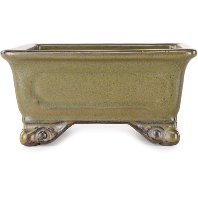 Maceta rectangular para bonsái de color amarillo ocre de Tosui - 227 x 165 x 77 mm