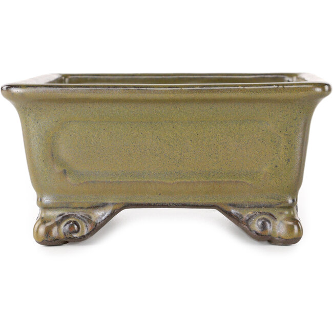 Pot à bonsaï rectangulaire jaune ocre de Tosui - 227 x 165 x 77 mm