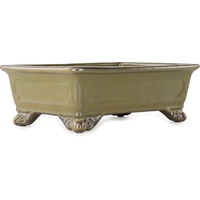 Maceta rectangular para bonsái de color amarillo ocre de Tosui - 227 x 165 x 77 mm