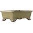 Maceta rectangular para bonsái de color amarillo ocre de Tosui - 227 x 165 x 77 mm