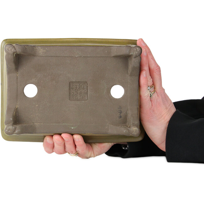 Rechteckiger ockergelber Bonsai-Topf von Tosui – 227 x 165 x 77 mm