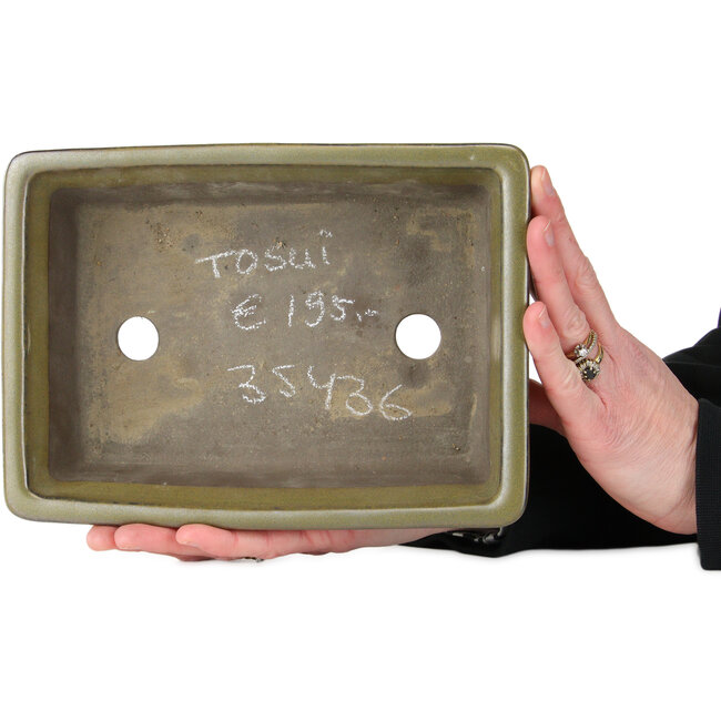 Vaso bonsai rettangolare giallo ocra di Tosui - 227 x 165 x 77 mm