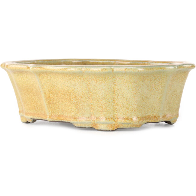 Lotus orange bonsai pot by Tosui - 252 x 197 x 73 mm