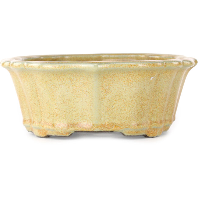 Lotusorangefarbener Bonsaitopf von Tosui – 252 x 197 x 73 mm