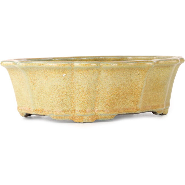 Pot à bonsaï Lotus orange de Tosui - 252 x 197 x 73 mm