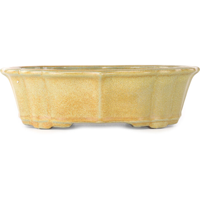 Lotusorangefarbener Bonsaitopf von Tosui – 252 x 197 x 73 mm