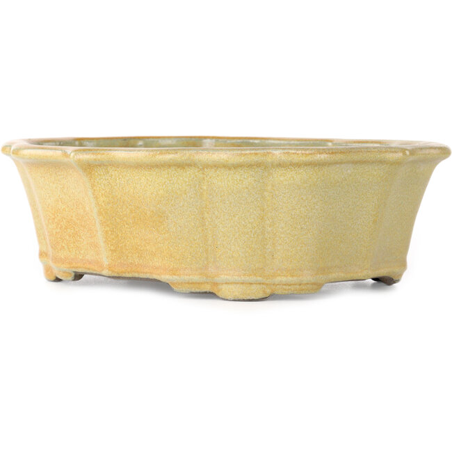 Vaso bonsai Lotus arancione di Tosui - 252 x 197 x 73 mm